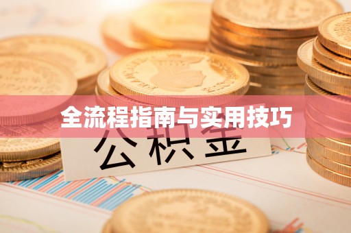 娄星全流程指南与实用技巧