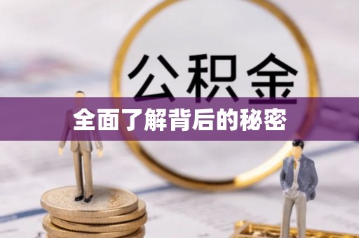 娄星全面了解背后的秘密