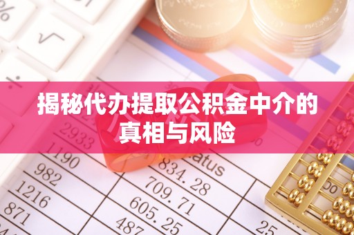 娄星揭秘代办提取公积金中介的真相与风险