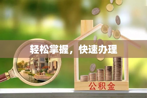 娄星轻松掌握，快速办理