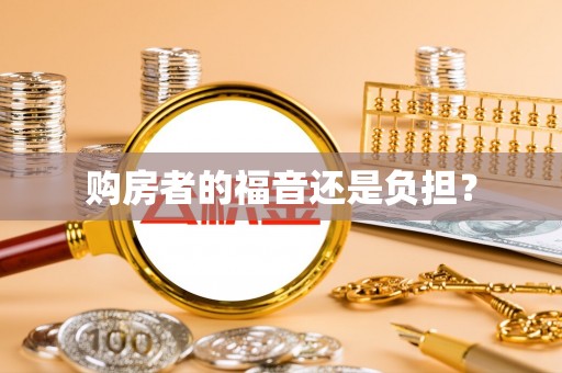 娄星购房者的福音还是负担？