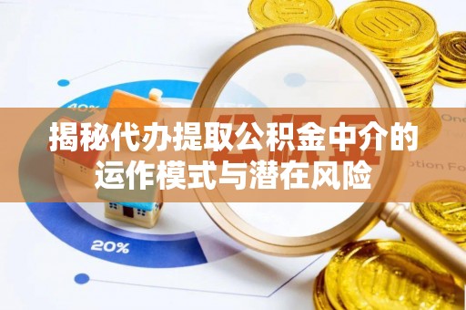 娄星揭秘代办提取公积金中介的运作模式与潜在风险