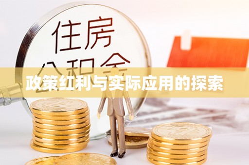 娄星政策红利与实际应用的探索