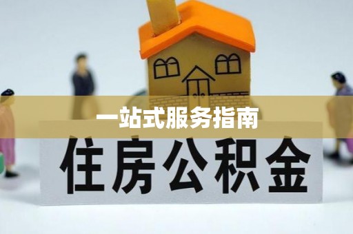 娄星一站式服务指南