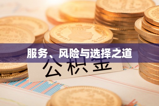 娄星服务、风险与选择之道