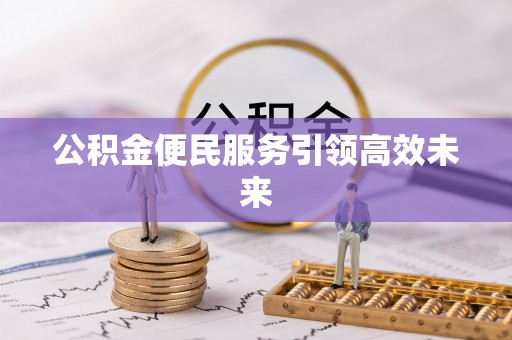 娄星公积金便民服务引领高效未来
