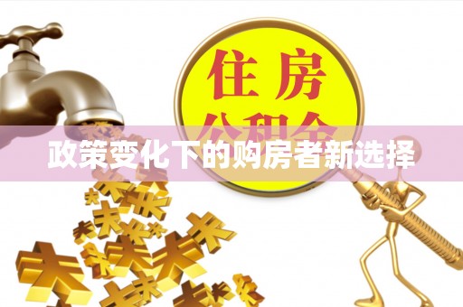 娄星政策变化下的购房者新选择