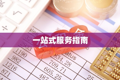 娄星一站式服务指南