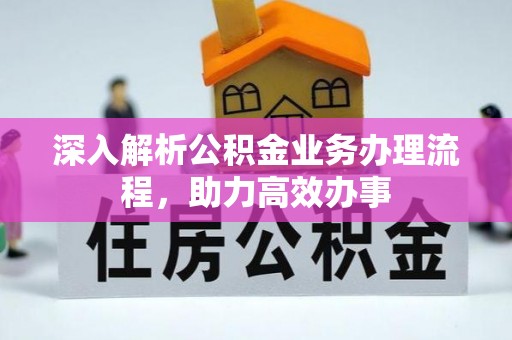 娄星深入解析公积金业务办理流程，助力高效办事