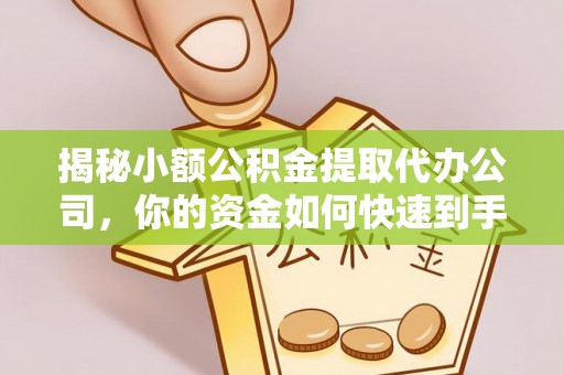 娄星揭秘小额公积金提取代办公司，你的资金如何快速到手？