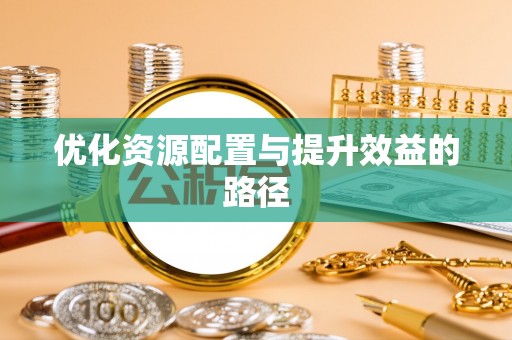 娄星优化资源配置与提升效益的路径