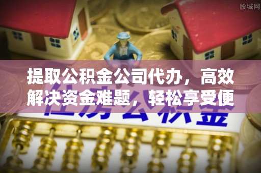 娄星提取公积金公司代办，高效解决资金难题，轻松享受便捷服务