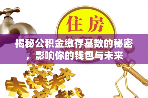 娄星揭秘公积金缴存基数的秘密，影响你的钱包与未来