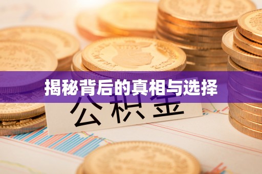 娄星揭秘背后的真相与选择