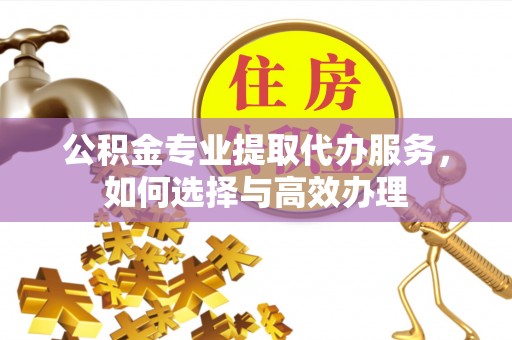娄星公积金专业提取代办服务，如何选择与高效办理