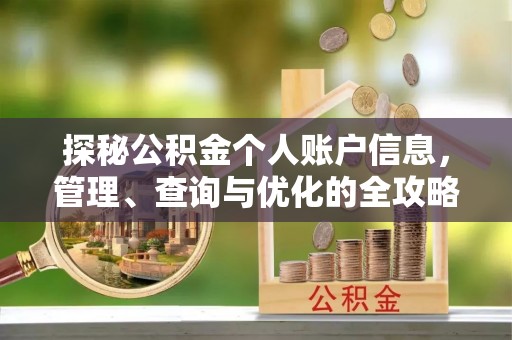 娄星探秘公积金个人账户信息，管理、查询与优化的全攻略
