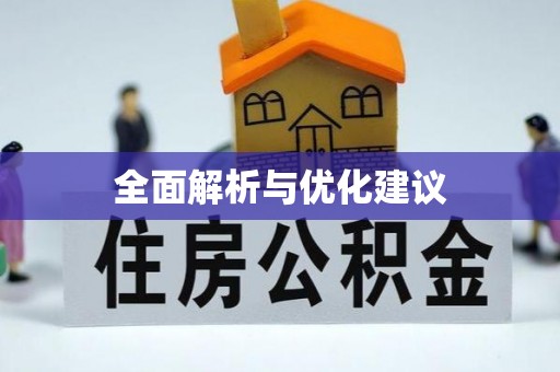 娄星全面解析与优化建议