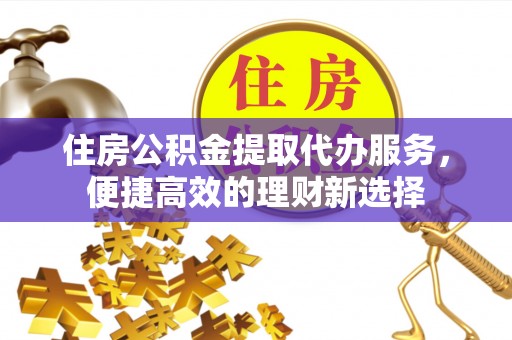 娄星住房公积金提取代办服务，便捷高效的理财新选择