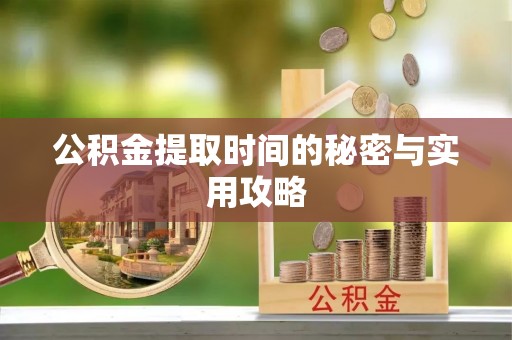 娄星公积金提取时间的秘密与实用攻略