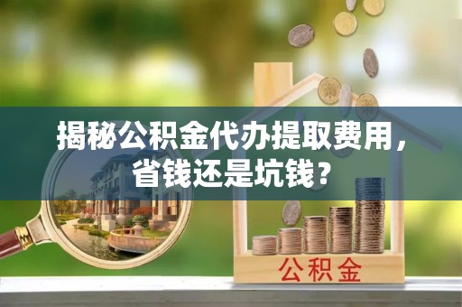 娄星揭秘公积金代办提取费用，省钱还是坑钱？