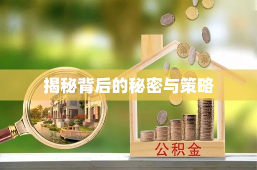 娄星揭秘背后的秘密与策略