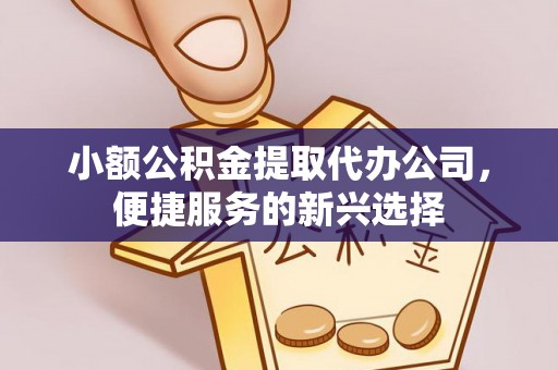 娄星小额公积金提取代办公司，便捷服务的新兴选择