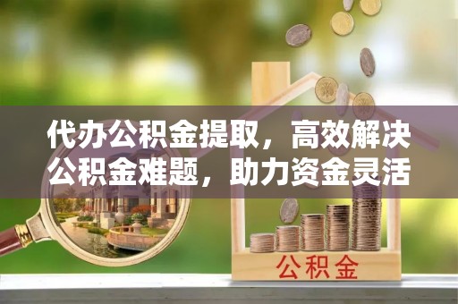 娄星代办公积金提取，高效解决公积金难题，助力资金灵活使用