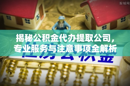 娄星揭秘公积金代办提取公司，专业服务与注意事项全解析