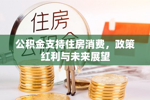 娄星公积金支持住房消费，政策红利与未来展望