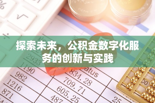 娄星探索未来，公积金数字化服务的创新与实践