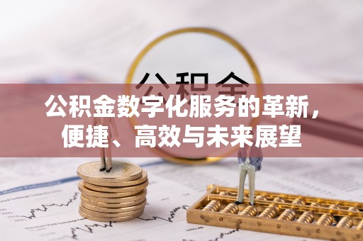 娄星公积金数字化服务的革新，便捷、高效与未来展望