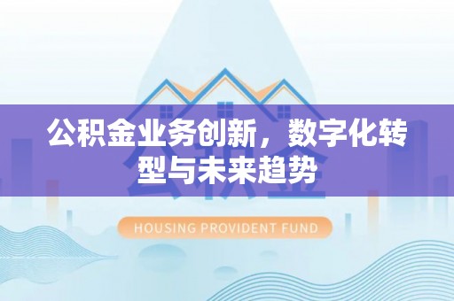 娄星公积金业务创新，数字化转型与未来趋势