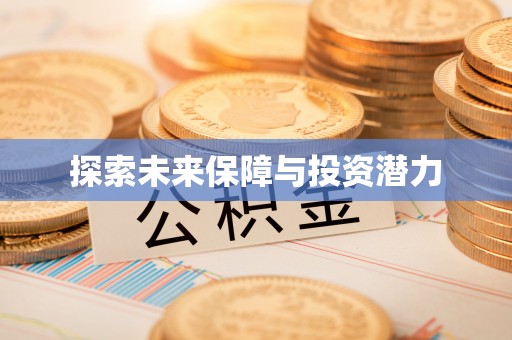 娄星探索未来保障与投资潜力