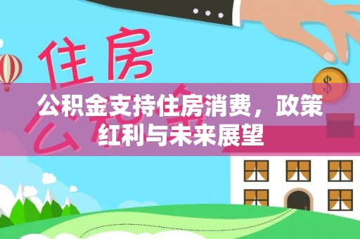 娄星公积金支持住房消费，政策红利与未来展望