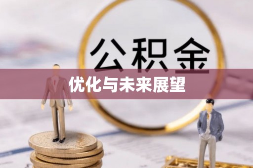 娄星优化与未来展望