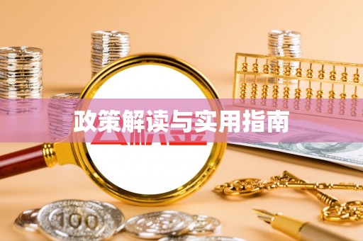 娄星政策解读与实用指南