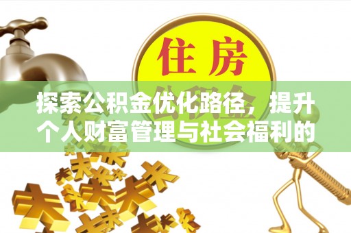 娄星探索公积金优化路径，提升个人财富管理与社会福利的新方向