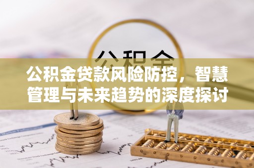 娄星公积金贷款风险防控，智慧管理与未来趋势的深度探讨