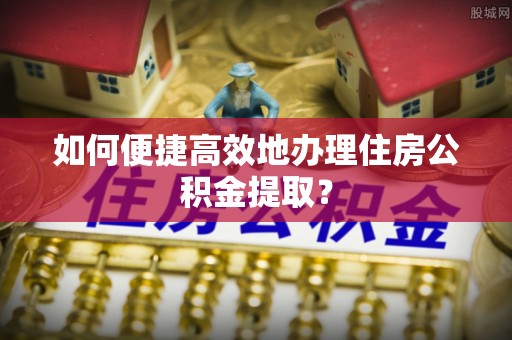娄星如何便捷高效地办理住房公积金提取？
