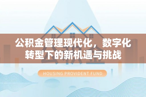 娄星公积金管理现代化，数字化转型下的新机遇与挑战
