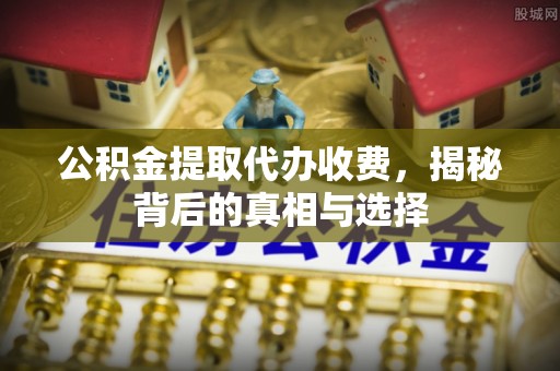娄星公积金提取代办收费，揭秘背后的真相与选择