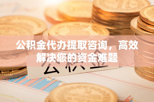 娄星公积金代办提取咨询，高效解决您的资金难题