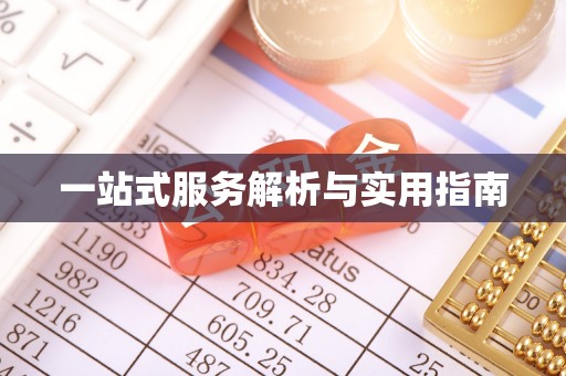 娄星一站式服务解析与实用指南