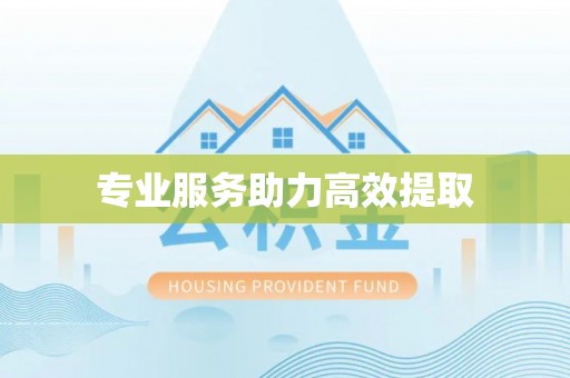 娄星专业服务助力高效提取