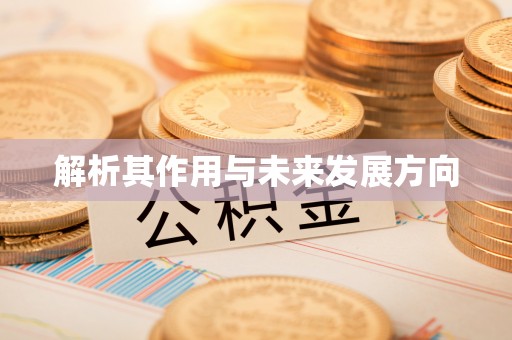 娄星解析其作用与未来发展方向