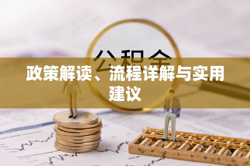 娄星政策解读、流程详解与实用建议