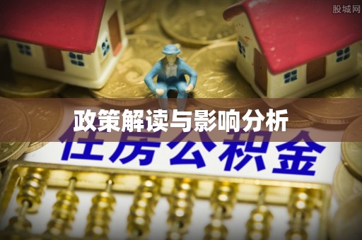 娄星政策解读与影响分析