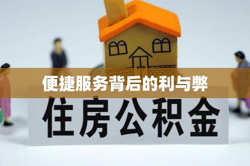 娄星便捷服务背后的利与弊