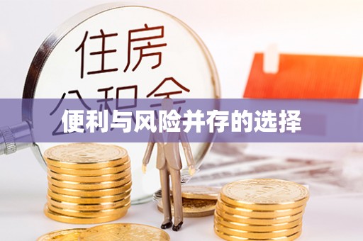 娄星便利与风险并存的选择