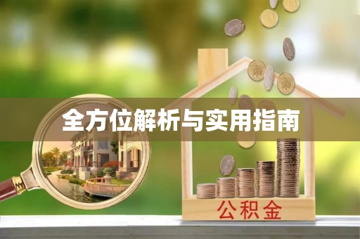 娄星全方位解析与实用指南